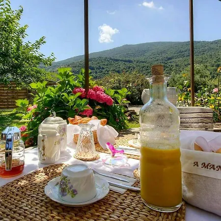 D'hôtes Et De Charme - A Mandria Couette-café Murato