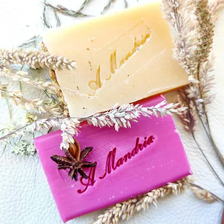 ベッド・アンド・ブレックファスト D'hotes Et De Charme - A Mandria