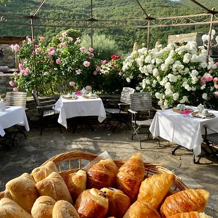 D'hotes Et De Charme - A Mandria 4*