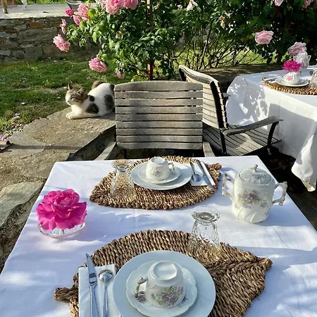 D'hotes Et De Charme - A Mandria Murato