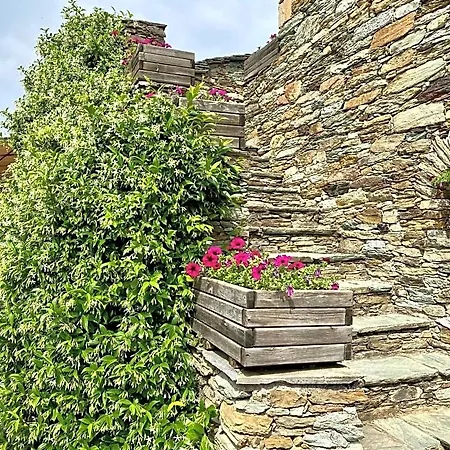 Bed & Breakfast D'hotes Et De Charme - A Mandria Murato