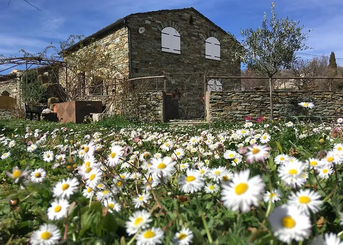 D'hotes Et De Charme - A Mandria Frühstückspension 4*