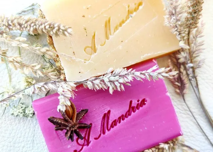 Frühstückspension D'hotes Et De Charme - A Mandria